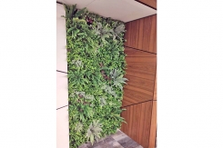 126 zeleni zidovi dekoracija